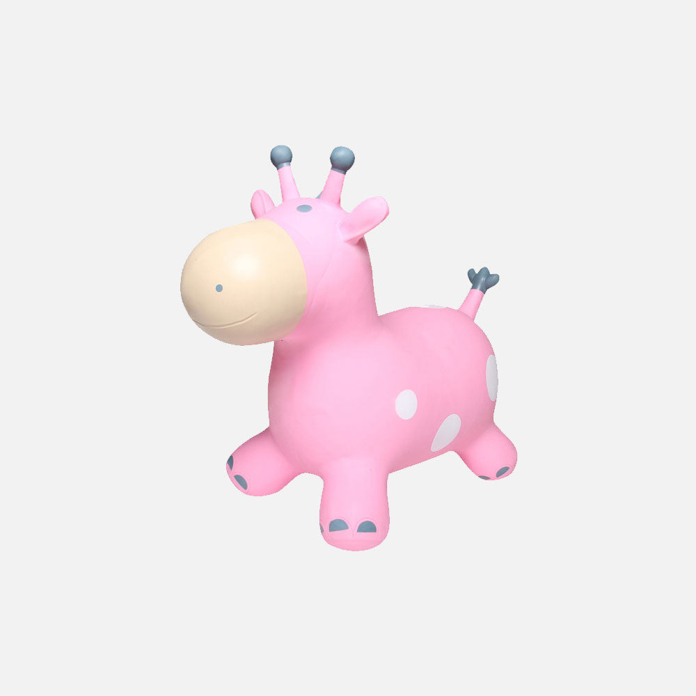 Toy
