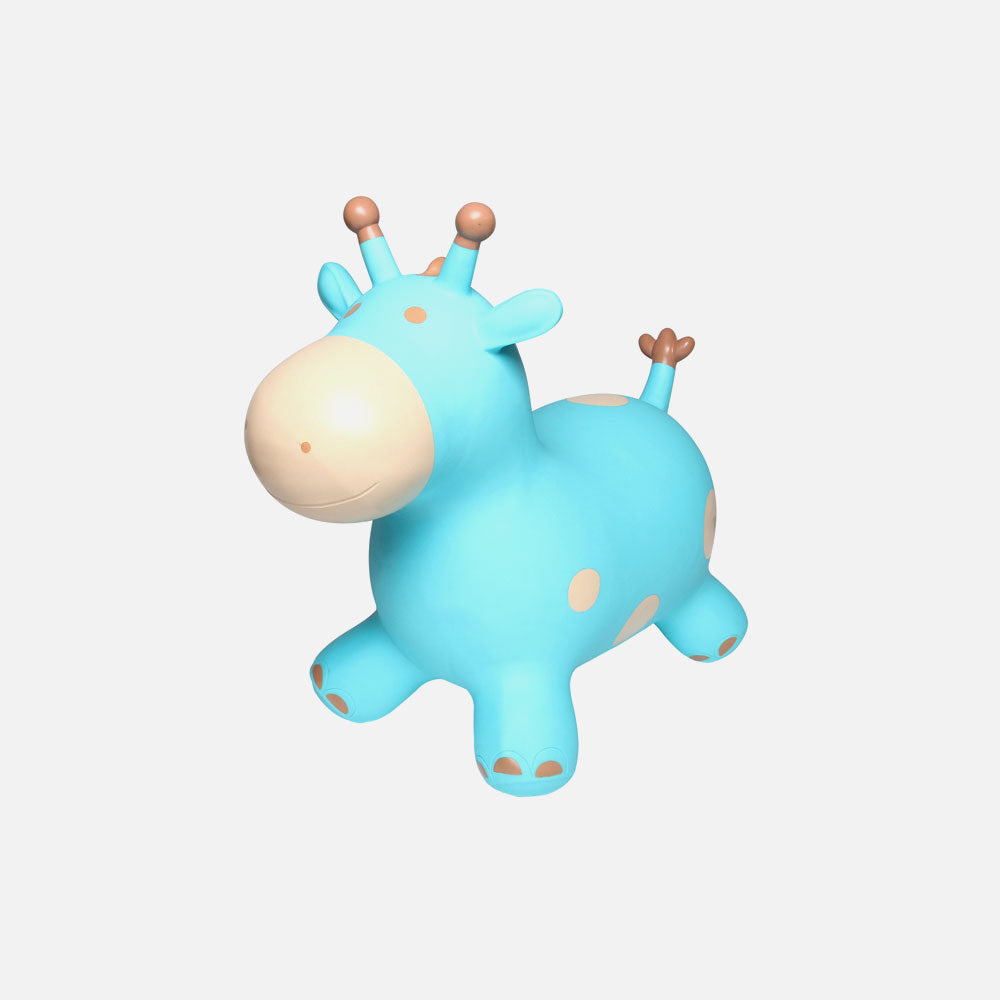 Toy